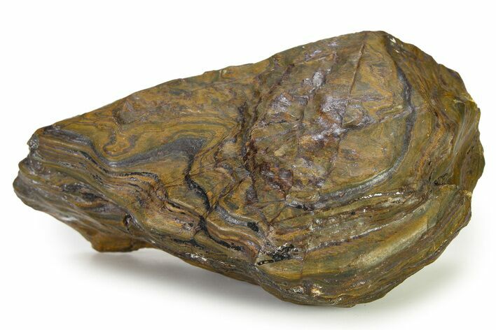 Banded Iron Formation Section - Billion Years #325787